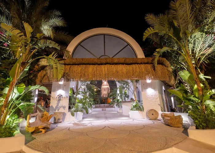 Ami Tai Deluxe -pet Lovers Fethiye