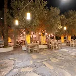 Otel Ami Tai Deluxe -pet Lovers *