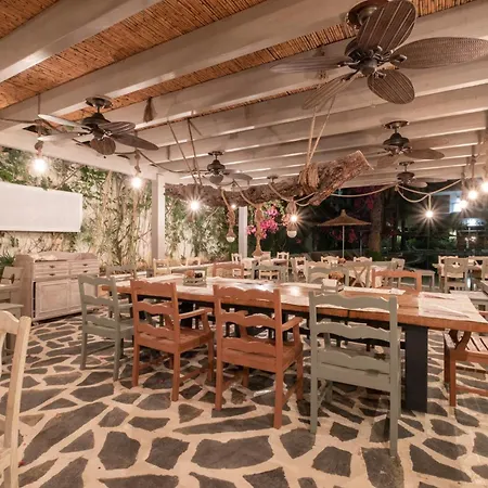 Ami Tai Deluxe -pet Lovers Fethiye