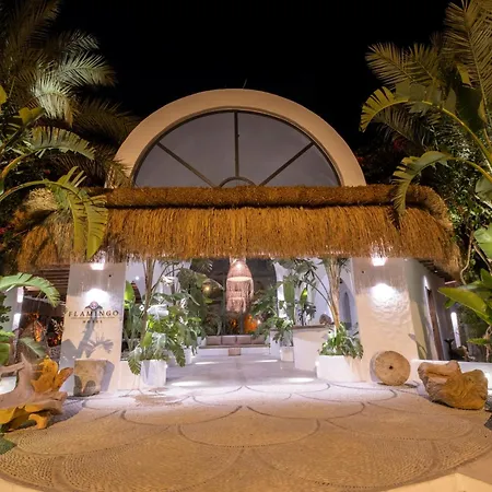 Ami Tai Deluxe -pet Lovers Fethiye