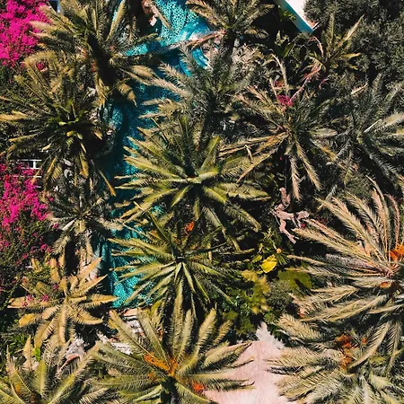 Отель Ami Tai Deluxe -pet Lovers