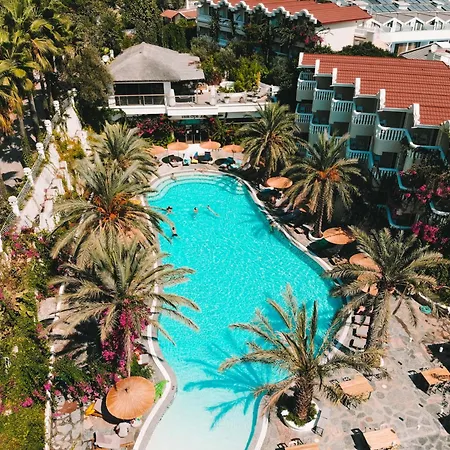 Ami Tai Deluxe -pet Lovers Фетхие