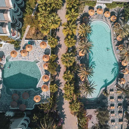 Ami Tai Deluxe -pet Lovers *