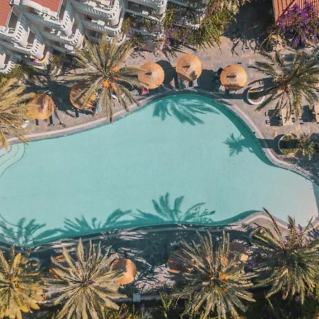 Отель Ami Tai Deluxe -pet Lovers *