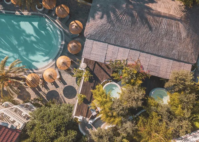 Ami Tai Deluxe -pet Lovers