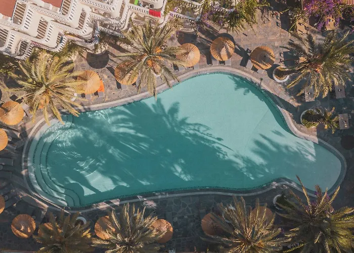 Отель Ami Tai Deluxe -pet Lovers *