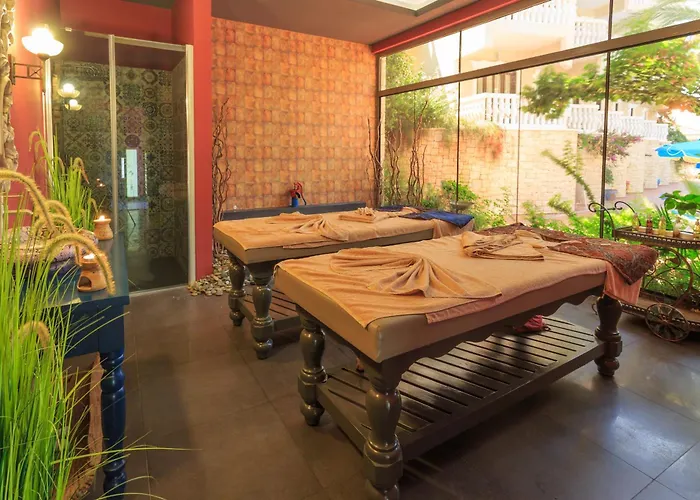 Ami Tai Deluxe -pet Lovers