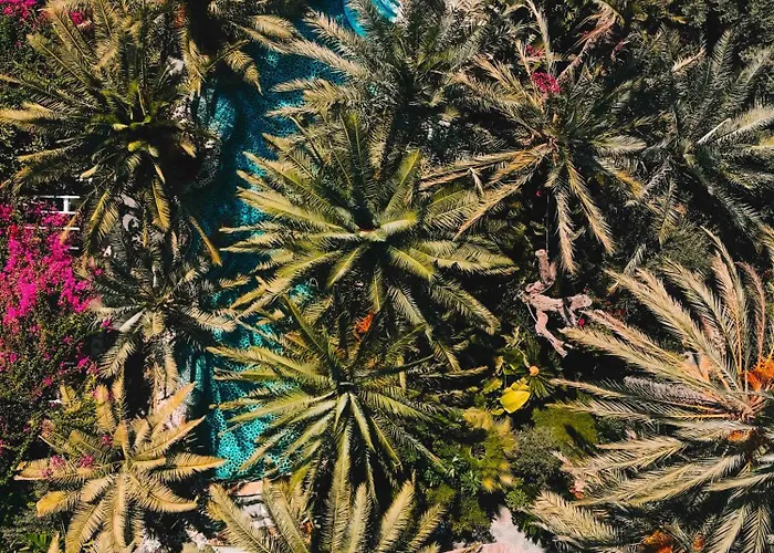 Отель Ami Tai Deluxe -pet Lovers