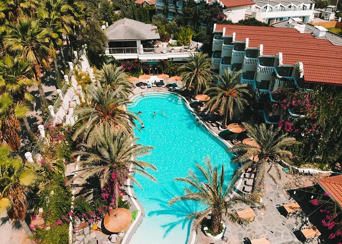 Ami Tai Deluxe -pet Lovers Фетхие