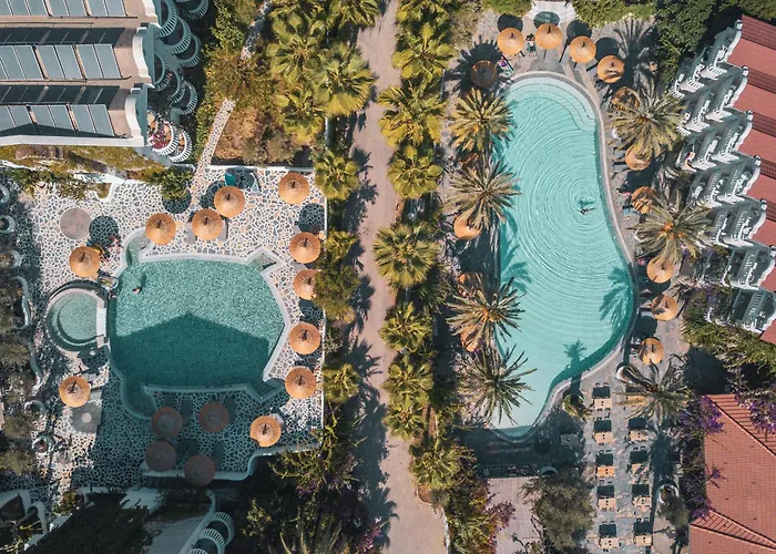 Ami Tai Deluxe -pet Lovers *